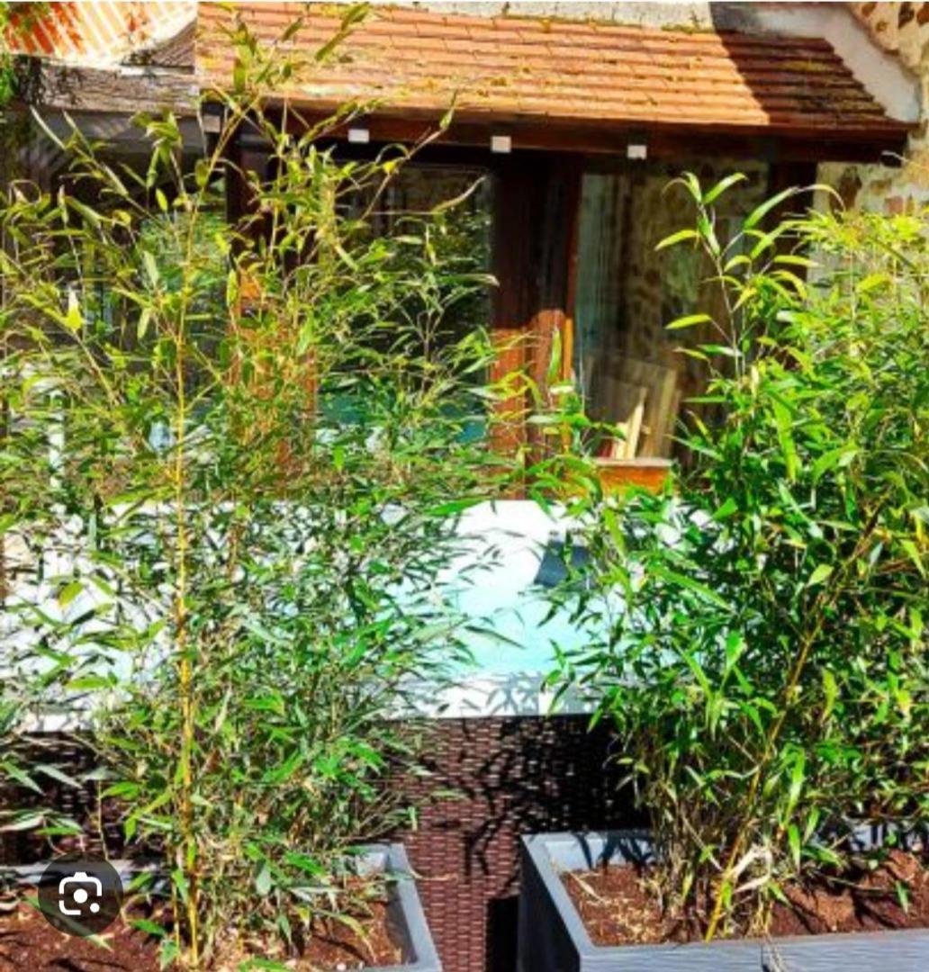 Bed and Breakfast Les 3 Roses Anjouin Exterior foto